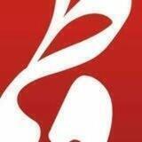 فاطی قاطی صد