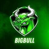BIGBULL ERC PORTAL