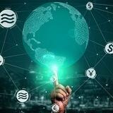 SPARROW_©️ALLS 📊🔍💸🌐