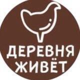 «Деревня Живет» и Анастасия Кочина