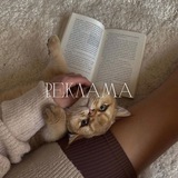 pastel | реклама