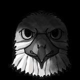 Eagle Arena Official Channel