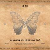 231. The Rule Of Supérieurs Mago