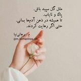 گاه‌نوشت - م.برهانی‌نیا