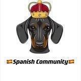 🇪🇸Dogeking Spanish Community