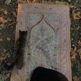 لعلها تشفع لي ولكم
