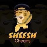 Sheesh Cheems