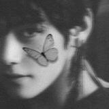 — ᴘᴀᴘɪʟʟᴏɴ.