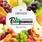 BIOGUMUSNI ISHLATISH