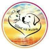 КАНАЛ Шанс на жизнь