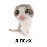 winzu