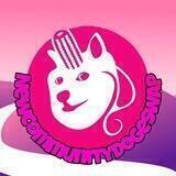 NewCommunityDogeSwap