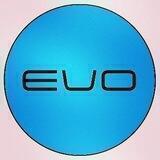 Кроссовки "EVO"