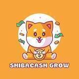 ShibaCashGrow || BSC