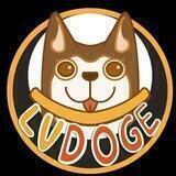 LV DOGE OFFICIAL GROUP⎜KYC&AUDIT