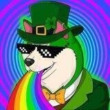 Shiba Rockstar