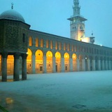 البراء الشامي