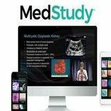 Medstudy course