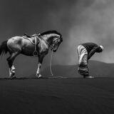 مُنفَرد فِي ألفِ ألفٍ.