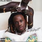 FireBoy DML - PlayBoy