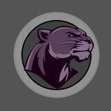 PANTHER CAT COIN