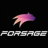 forsage the best team