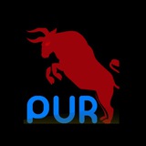 گروه Purnet