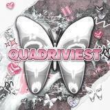 Quadriviest`s testimonial