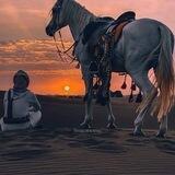 لِٰـِۢ ضــٰٰٰٖٖٖۧـ๋͜ــــرـا❀ـَٰـر࿌