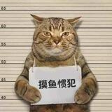 偷窥|偷拍|女厕|厕拍