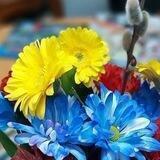Допомога переселенцям у Канаду