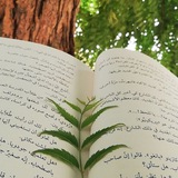 دُرَرُ السَّلَفِ الصَّالِح 📚