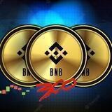 BNB300 | PORTAL