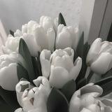 жизнь-мгновение.