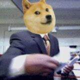 BDOGE = BSC + DOGE