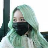 고원