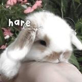 рест // har3 l0ve !1 <3