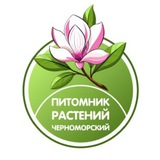 Раевская. Питомник растений Черноморский