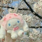 🍧🌸𝚒𝚗 𝚖𝚒𝚍𝚍𝚕𝚎 𝚘𝚏 𝚝𝚑𝚎 𝚗𝚒𝚐𝚑𝚝🍧🌸