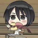 Mikasa