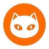 Ninneko Official Brazil