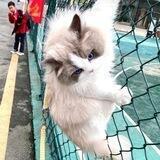 🌈搞笑吃瓜视频【内涵段子】