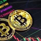 @next100xcrypto