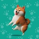 Playful Shiba Inu