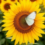 🧡Вдохновение🧡
