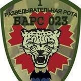 БАРС _023
