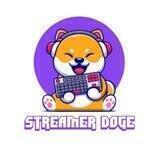 Streamer Doge