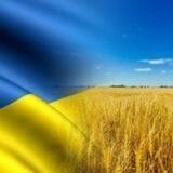 Офіційний канал СШ 25 mlt