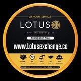 Lotusexchange.co (How to Play)