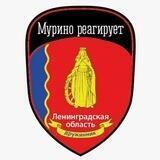 Дружина Мурино Реагирует - Чат